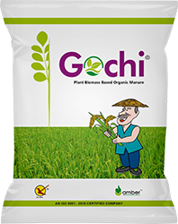 Gochi