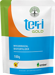 Terri Gold