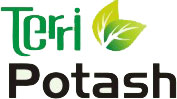 Terri Protash