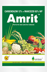 Amrit