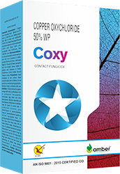 Coxy