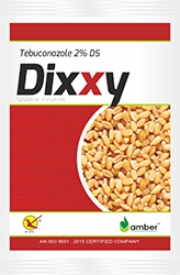 Dixxy