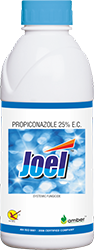 Joel