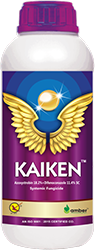 Kaiken