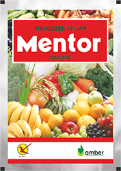 Mentor