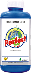 Perfect Plus