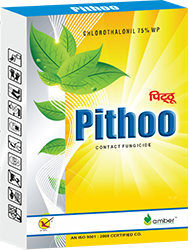 Pithoo