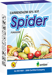 Spider