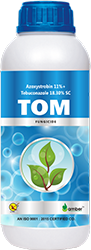 Tom