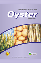 Oyster