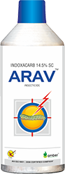 Arav