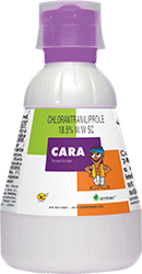 Cara