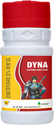 Dyna