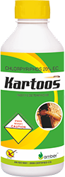 Kartoos