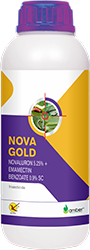 Nova_Gold