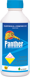 Panther
