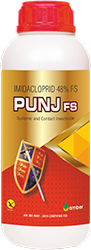 Punj-Fs