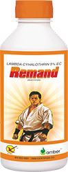 Remand