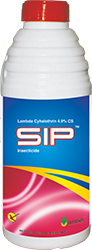 Sip