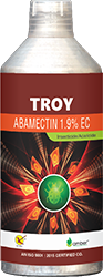Troy