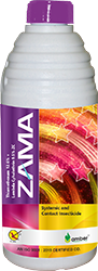 Zama